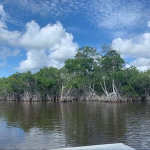 Meet your Posher, Kari